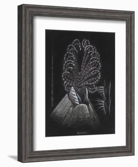 Barnacle-Philip Henry Gosse-Framed Giclee Print