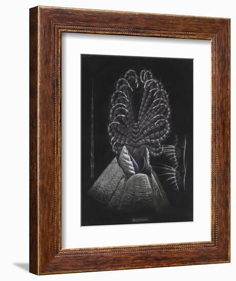 Barnacle-Philip Henry Gosse-Framed Giclee Print