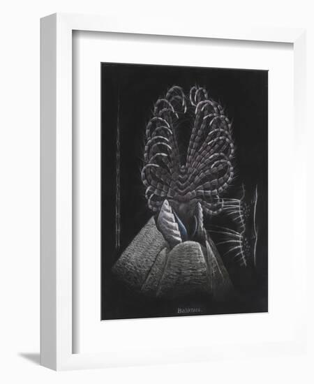 Barnacle-Philip Henry Gosse-Framed Giclee Print