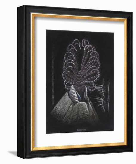 Barnacle-Philip Henry Gosse-Framed Giclee Print