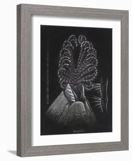 Barnacle-Philip Henry Gosse-Framed Giclee Print