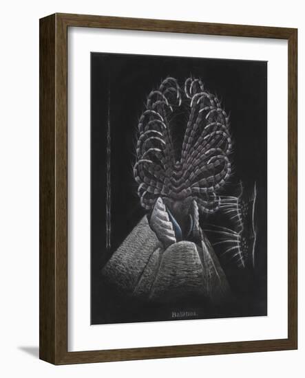 Barnacle-Philip Henry Gosse-Framed Giclee Print