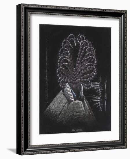 Barnacle-Philip Henry Gosse-Framed Giclee Print