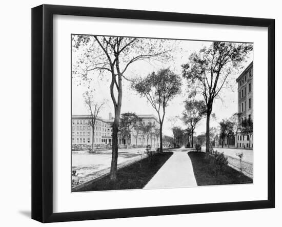 Barnard College of Columbia University, New York City-null-Framed Photo