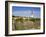 Barnegat Lighthouse in Ocean County, New Jersey, United States of America, North America-Richard Cummins-Framed Photographic Print