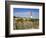 Barnegat Lighthouse in Ocean County, New Jersey, United States of America, North America-Richard Cummins-Framed Photographic Print