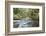 Barnes Creek Through Forest, Olympic National Park, Washington, USA-Jaynes Gallery-Framed Photographic Print