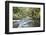 Barnes Creek Through Forest, Olympic National Park, Washington, USA-Jaynes Gallery-Framed Photographic Print