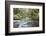 Barnes Creek Through Forest, Olympic National Park, Washington, USA-Jaynes Gallery-Framed Photographic Print