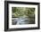 Barnes Creek Through Forest, Olympic National Park, Washington, USA-Jaynes Gallery-Framed Photographic Print