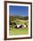 Barnet, View of Farm in Autumn, Northeast Kingdom, Vermont, USA-Walter Bibikow-Framed Photographic Print