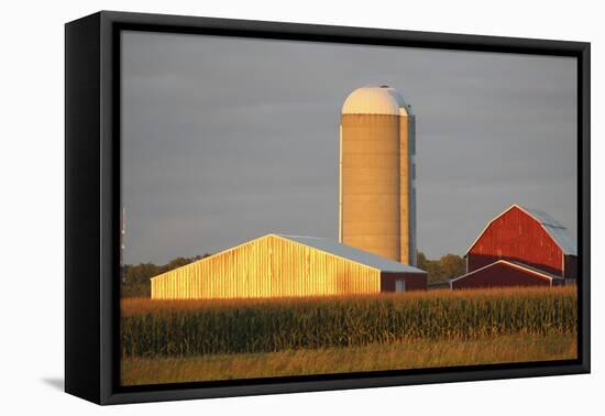 Barns 7-Jeff Rasche-Framed Premier Image Canvas
