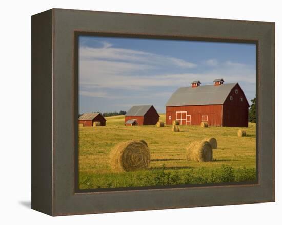 Barns and Hay Bales in Field-Darrell Gulin-Framed Premier Image Canvas