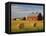 Barns and Hay Bales in Field-Darrell Gulin-Framed Premier Image Canvas