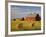 Barns and Hay Bales in Field-Darrell Gulin-Framed Photographic Print