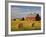 Barns and Hay Bales in Field-Darrell Gulin-Framed Photographic Print