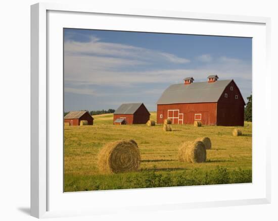 Barns and Hay Bales in Field-Darrell Gulin-Framed Photographic Print