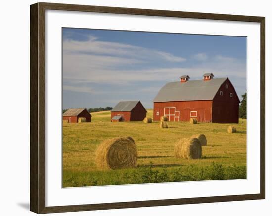 Barns and Hay Bales in Field-Darrell Gulin-Framed Photographic Print