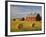 Barns and Hay Bales in Field-Darrell Gulin-Framed Photographic Print