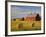 Barns and Hay Bales in Field-Darrell Gulin-Framed Photographic Print