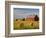 Barns and Hay Bales in Field-Darrell Gulin-Framed Photographic Print