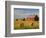 Barns and Hay Bales in Field-Darrell Gulin-Framed Photographic Print