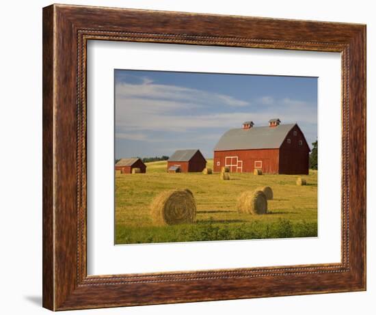 Barns and Hay Bales in Field-Darrell Gulin-Framed Photographic Print