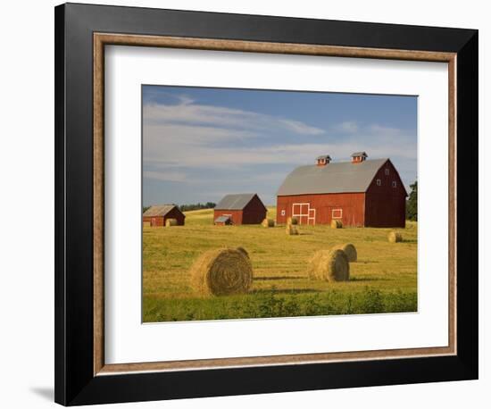 Barns and Hay Bales in Field-Darrell Gulin-Framed Photographic Print