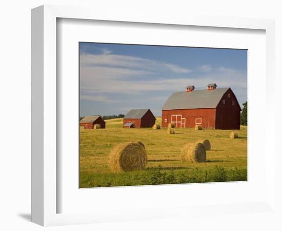 Barns and Hay Bales in Field-Darrell Gulin-Framed Photographic Print