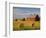 Barns and Hay Bales in Field-Darrell Gulin-Framed Photographic Print