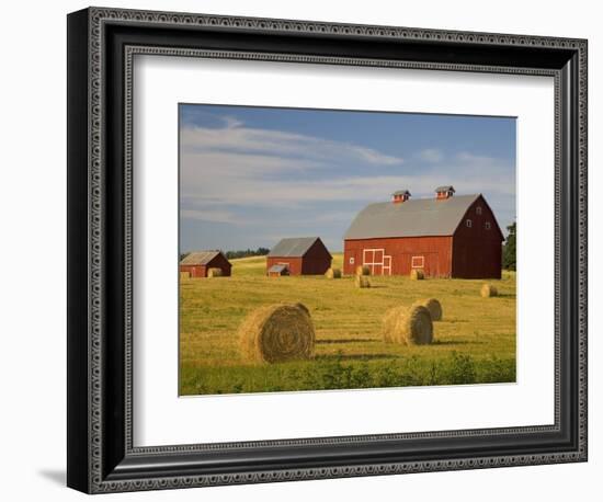 Barns and Hay Bales in Field-Darrell Gulin-Framed Photographic Print