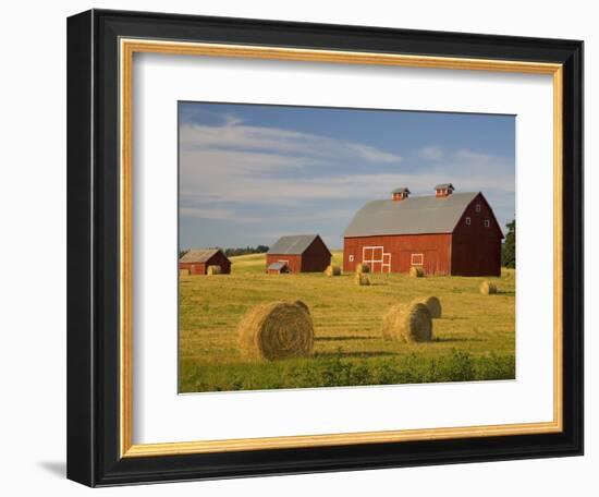 Barns and Hay Bales in Field-Darrell Gulin-Framed Photographic Print