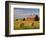 Barns and Hay Bales in Field-Darrell Gulin-Framed Photographic Print