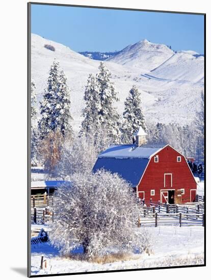 Barns in winter, Methow Valley, Washington, USA-Charles Gurche-Mounted Photographic Print