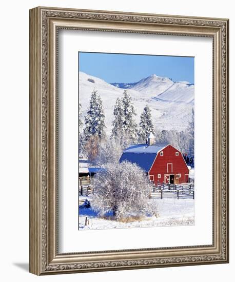 Barns in winter, Methow Valley, Washington, USA-Charles Gurche-Framed Photographic Print