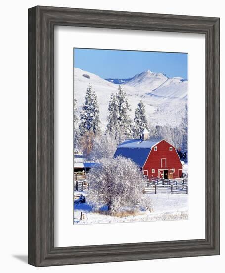 Barns in winter, Methow Valley, Washington, USA-Charles Gurche-Framed Photographic Print