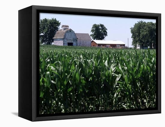 Barns on Farm, Hudson, Illinois, Midwest, USA-Ken Gillham-Framed Premier Image Canvas