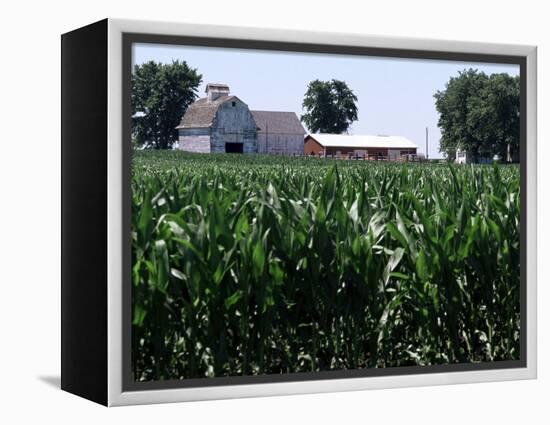 Barns on Farm, Hudson, Illinois, Midwest, USA-Ken Gillham-Framed Premier Image Canvas