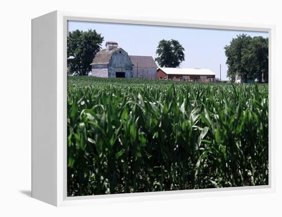 Barns on Farm, Hudson, Illinois, Midwest, USA-Ken Gillham-Framed Premier Image Canvas