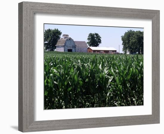 Barns on Farm, Hudson, Illinois, Midwest, USA-Ken Gillham-Framed Photographic Print