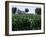 Barns on Farm, Hudson, Illinois, Midwest, USA-Ken Gillham-Framed Photographic Print