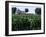 Barns on Farm, Hudson, Illinois, Midwest, USA-Ken Gillham-Framed Photographic Print