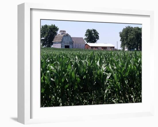 Barns on Farm, Hudson, Illinois, Midwest, USA-Ken Gillham-Framed Photographic Print