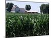 Barns on Farm, Hudson, Illinois, Midwest, USA-Ken Gillham-Mounted Photographic Print