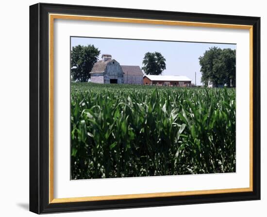 Barns on Farm, Hudson, Illinois, Midwest, USA-Ken Gillham-Framed Photographic Print