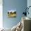 Barns on Greenbrier V-Max Hayslette-Framed Premier Image Canvas displayed on a wall