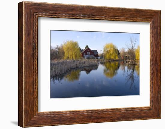 Barns Reeds and Willows on Pond-jrferrermn-Framed Photographic Print