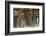 Barnside IV-James McLoughlin-Framed Photographic Print