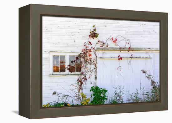 Barnside-Steven Maxx-Framed Premier Image Canvas