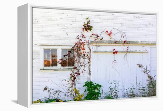 Barnside-Steven Maxx-Framed Premier Image Canvas